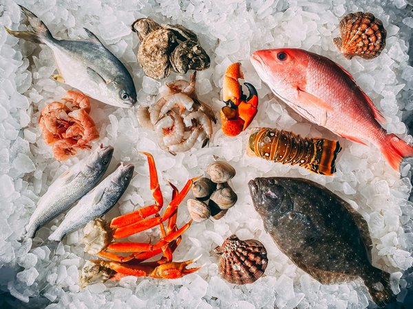 Fresh from the sea: the best in seafood cuisine